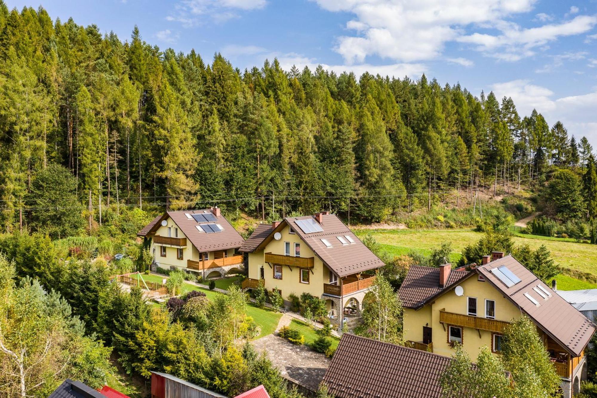 Apartamenty Zielona Owieczka Замок Нидзица Экстерьер фото